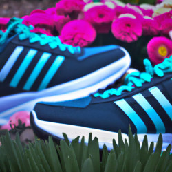 Coupon for: adidas Spring Sale