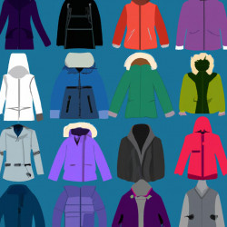 Coupon for: Bluenotes Winter Jacket Sale