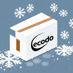 Coupon for: Ecco Shoes Free Shipping Offer