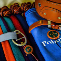 Coupon for: Polo Ralph Lauren Holiday Gift Offer